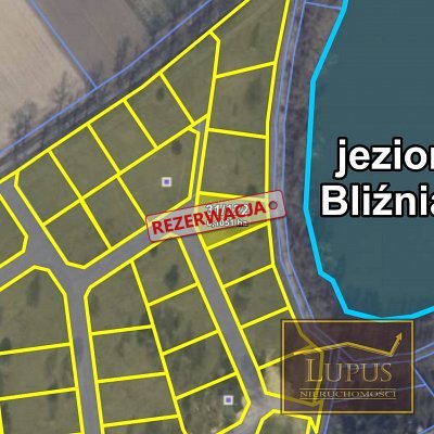 zdjecie