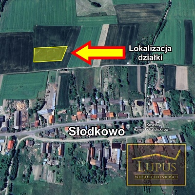DZIAŁKA na SPRZEDAŻ